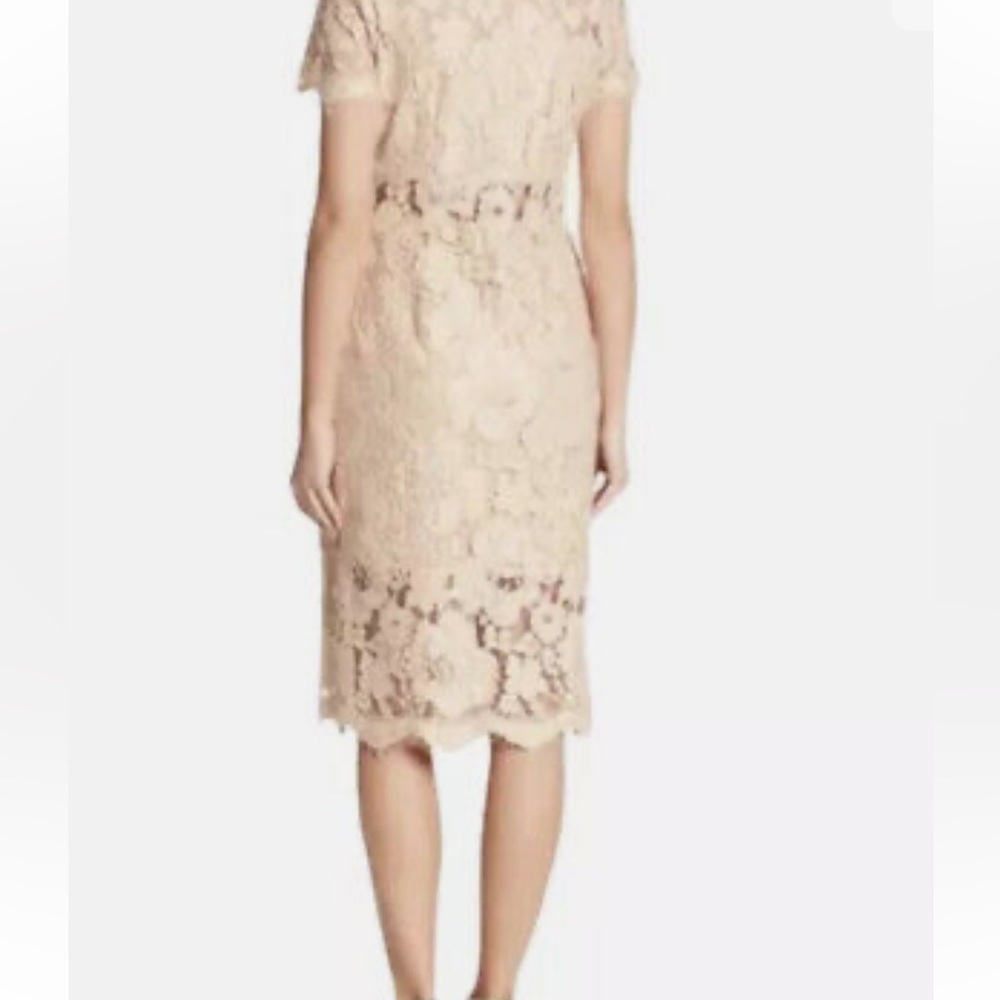 NSR Lace Short Sleeves MIDI Sheath women’s Dress - Picture 3 of 11